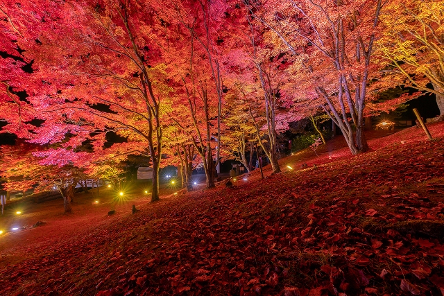 土津神社　紅葉